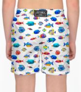 Zeybra - Costume da bagno made in Italy bambino pesci 100% nylon veloce nell’asciugatura. Rete interna in nylon stretch comfort con trattamento antibatterico